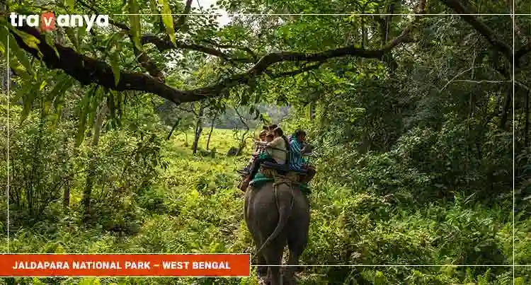 Jaldapara-National-Park-GCo-West-Bengal