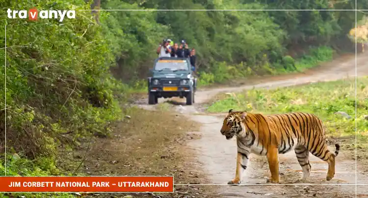 Jim-Corbett-National-Park-–-Uttarakhand