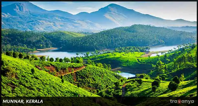 Munnar-Kerala