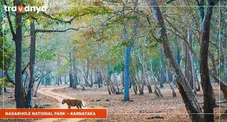 Nagarhole National Park