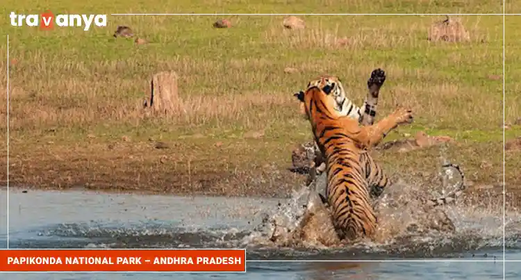 Papikonda National Park