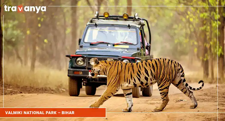 Valmiki-National-Park-GCo-Bihar