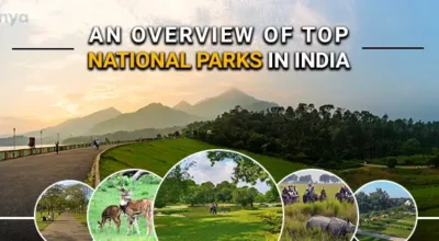 National Park In India