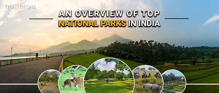 National Park In India