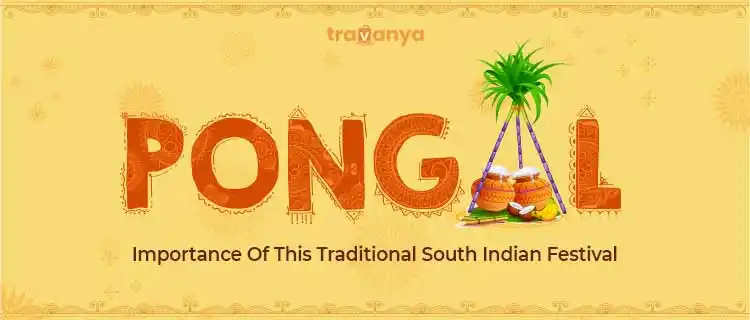 Pongal Festival