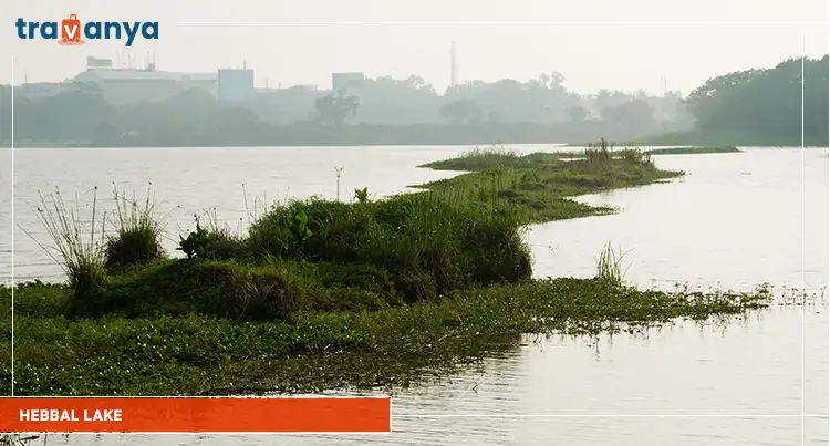 Hebbal Lake