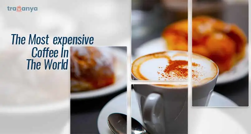 Most expensive Coffee