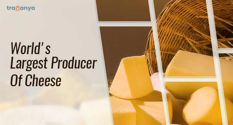 World's Largest Producer Of Cheese