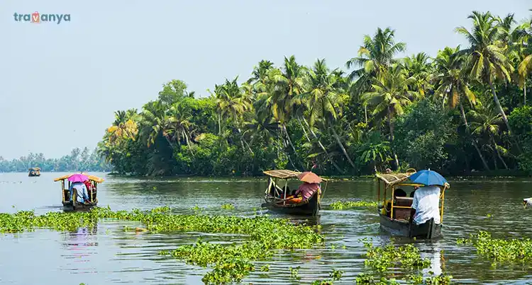 Alleppey