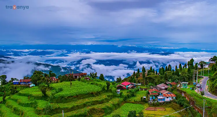 Darjeeling