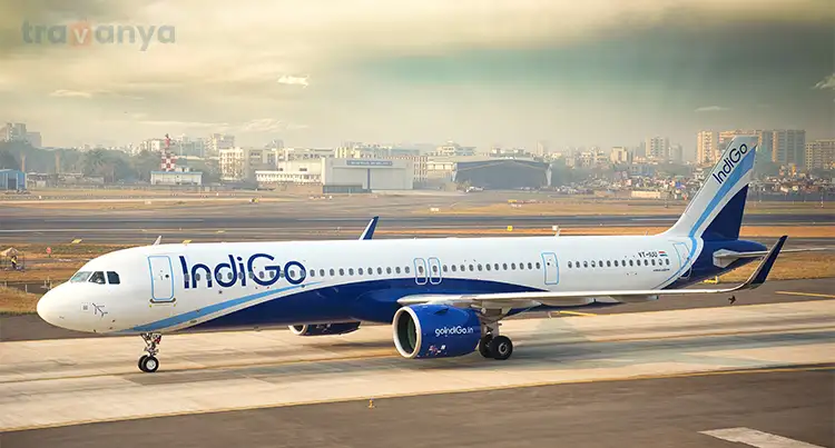 best domestic flights indigo airlines