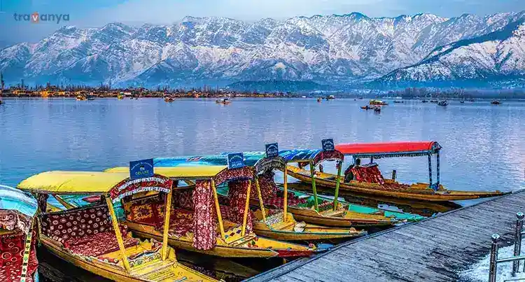 Srinagar