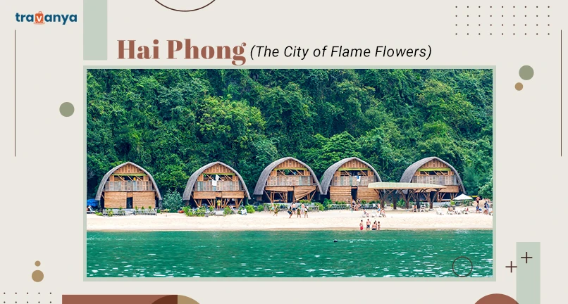 Hai Phong - The City of Flame Flowers