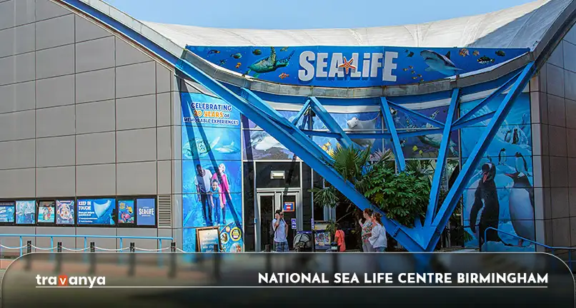 National SEA LIFE Centre, Birmingham