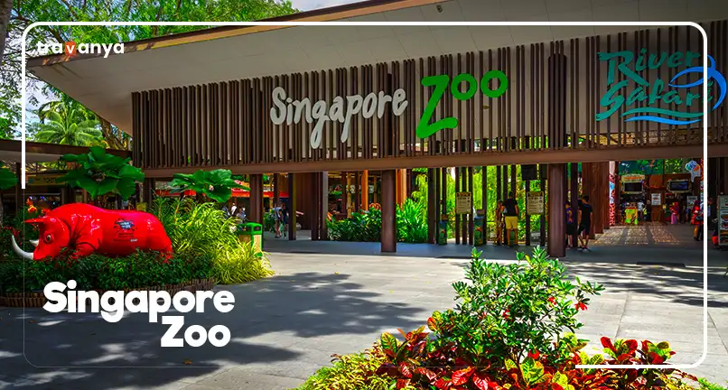 Singapore Zoo