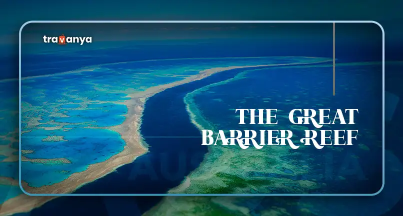 The Great Barrier Reef