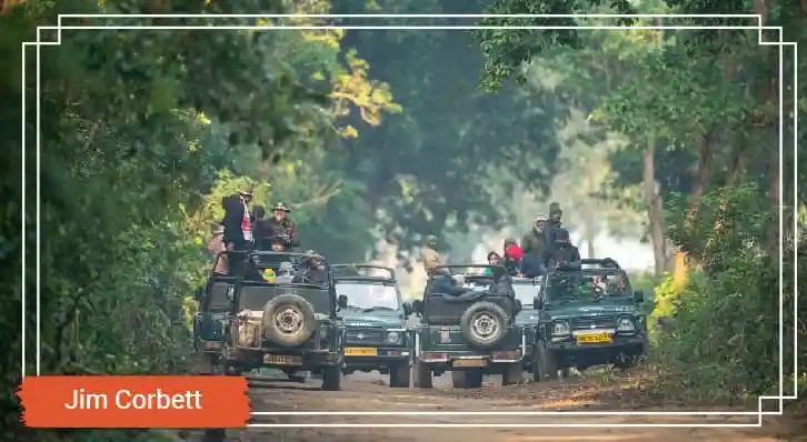 Jim Corbett National Park