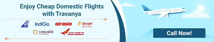 Cheap domestic flights