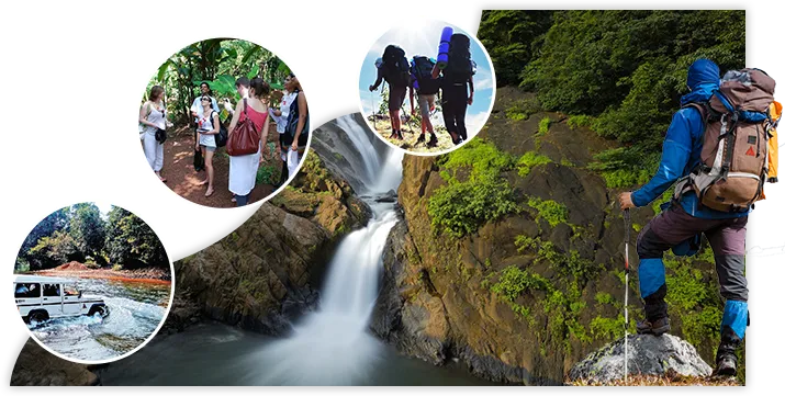 Activities To Do In Dudhsagar Falls