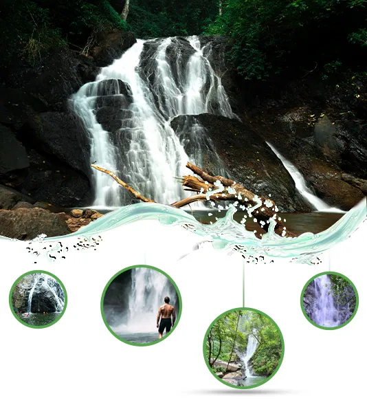 About Bamanbudo Waterfall, Goa