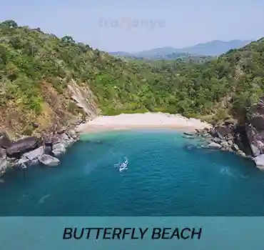 Butterfly beach