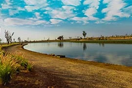 Al Qudra Lakes