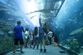 Dubai Aquarium and Underwaters Zoo