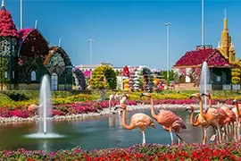 Dubai Miracle Garden