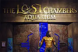 The Lost Chamber Aquarium