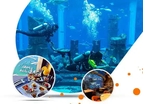 Things Not To Miss at Deep Dive Dubai 