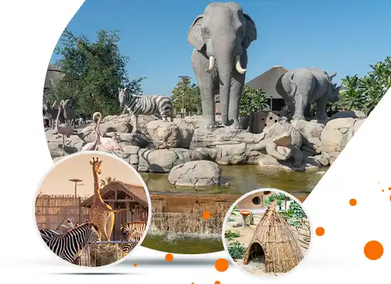 Things To Do At Dubai Safari Park