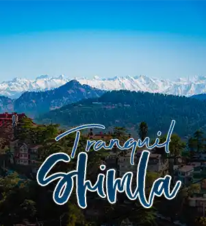 Shimla Packages