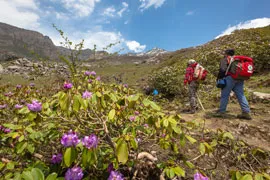 Valley of Flowers Trek